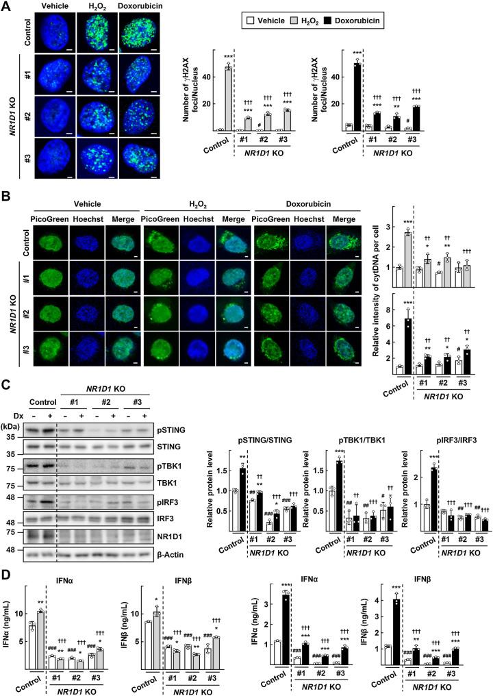 https://cdn.ncbi.nlm.nih.gov/pmc/blobs/aa89/10538367/530c7c64d5b5/3045fig6.jpg