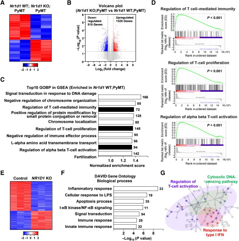 https://cdn.ncbi.nlm.nih.gov/pmc/blobs/aa89/10538367/a72236c969e5/3045fig3.jpg