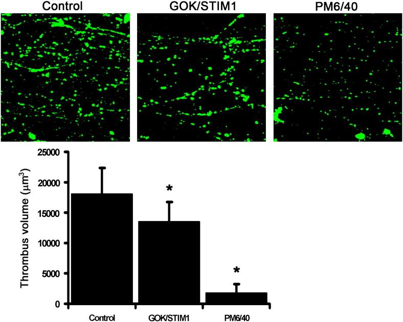https://cdn.ncbi.nlm.nih.gov/pmc/blobs/aa8a/4062937/d06626ad89b8/gr3.jpg