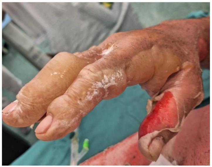 https://cdn.ncbi.nlm.nih.gov/pmc/blobs/aa8b/11356184/ad97badf3bcd/medicina-60-01201-g001.jpg