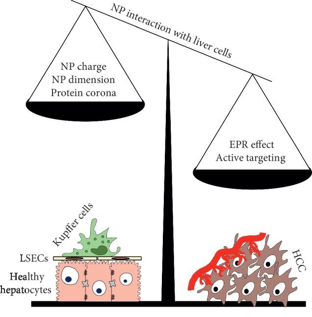 https://cdn.ncbi.nlm.nih.gov/pmc/blobs/aa8b/7060440/baa90c81cbd8/JO2020-4638192.003.jpg