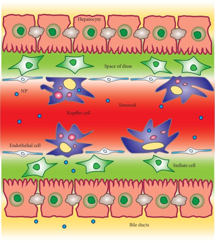 https://cdn.ncbi.nlm.nih.gov/pmc/blobs/aa8b/7060440/eec390cfe220/JO2020-4638192.001.jpg