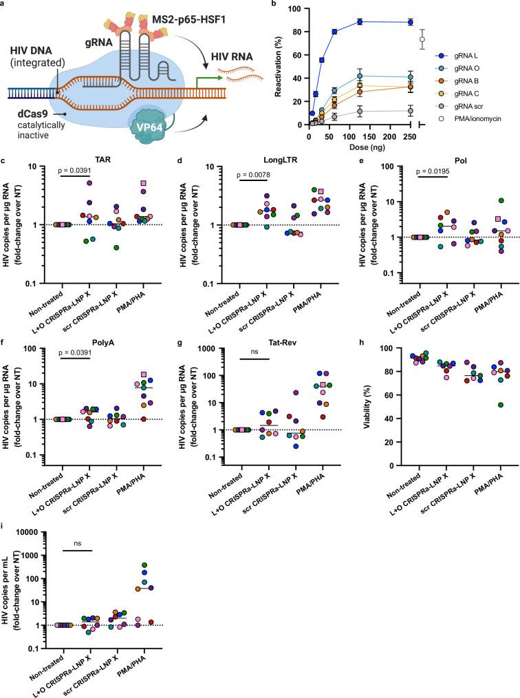 https://cdn.ncbi.nlm.nih.gov/pmc/blobs/aa8d/12122926/1d49092620d8/41467_2025_60001_Fig5_HTML.jpg