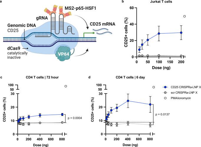 https://cdn.ncbi.nlm.nih.gov/pmc/blobs/aa8d/12122926/49c1fb06b1c7/41467_2025_60001_Fig4_HTML.jpg