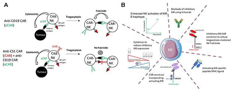 https://cdn.ncbi.nlm.nih.gov/pmc/blobs/aa8e/7615527/5398badd8662/EMS192612-f001.jpg