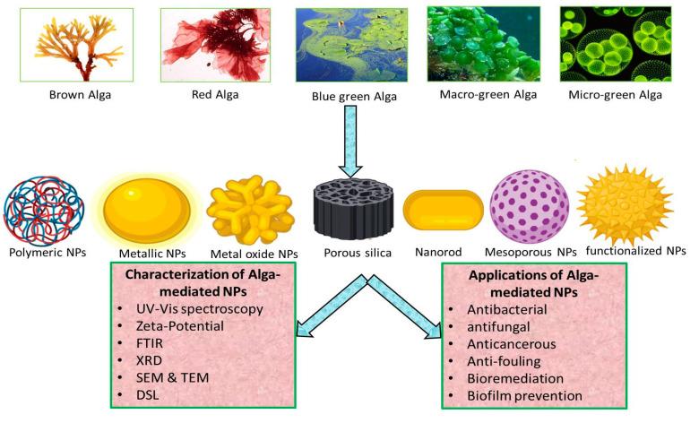 https://cdn.ncbi.nlm.nih.gov/pmc/blobs/aa8e/7693774/b13d386fe6d1/biomolecules-10-01498-g002.jpg