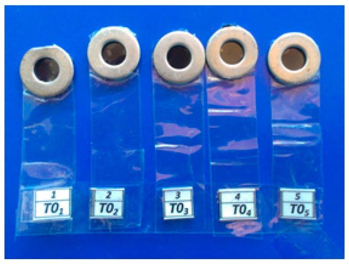 https://cdn.ncbi.nlm.nih.gov/pmc/blobs/aa8f/6352669/01aec880c120/biomimetics-03-00023-g001.jpg