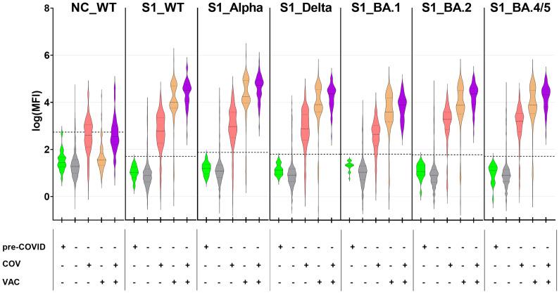 https://cdn.ncbi.nlm.nih.gov/pmc/blobs/aa91/11384586/3e670b58420a/fimmu-15-1434291-g001.jpg