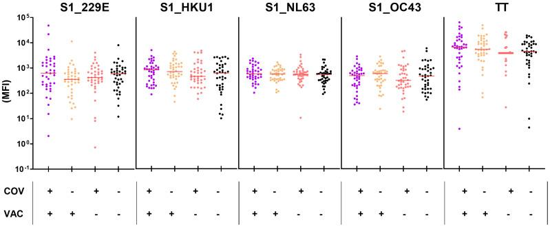 https://cdn.ncbi.nlm.nih.gov/pmc/blobs/aa91/11384586/9813ddb14060/fimmu-15-1434291-g007.jpg