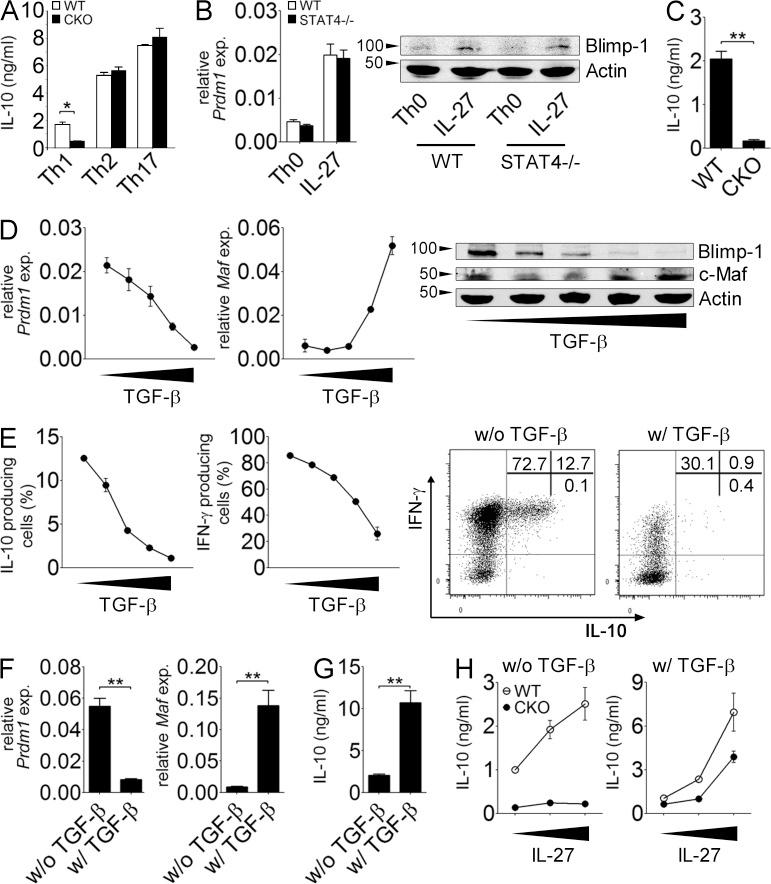 https://cdn.ncbi.nlm.nih.gov/pmc/blobs/aa92/4144744/5c56f979687a/JEM_20131548_Fig7.jpg