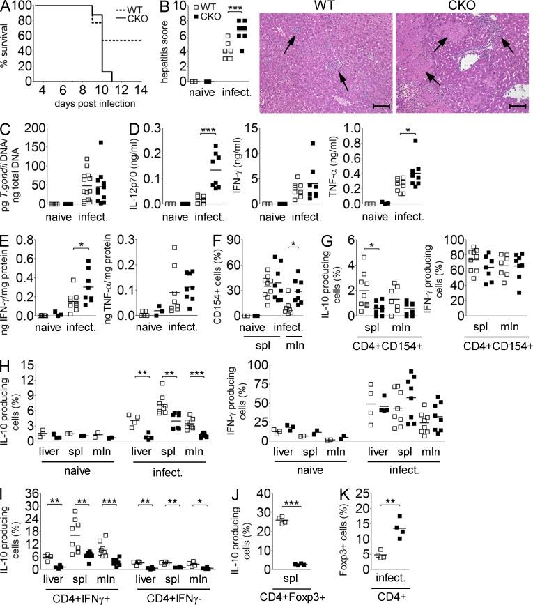 https://cdn.ncbi.nlm.nih.gov/pmc/blobs/aa92/4144744/5d925af61e6c/JEM_20131548R_Fig2.jpg