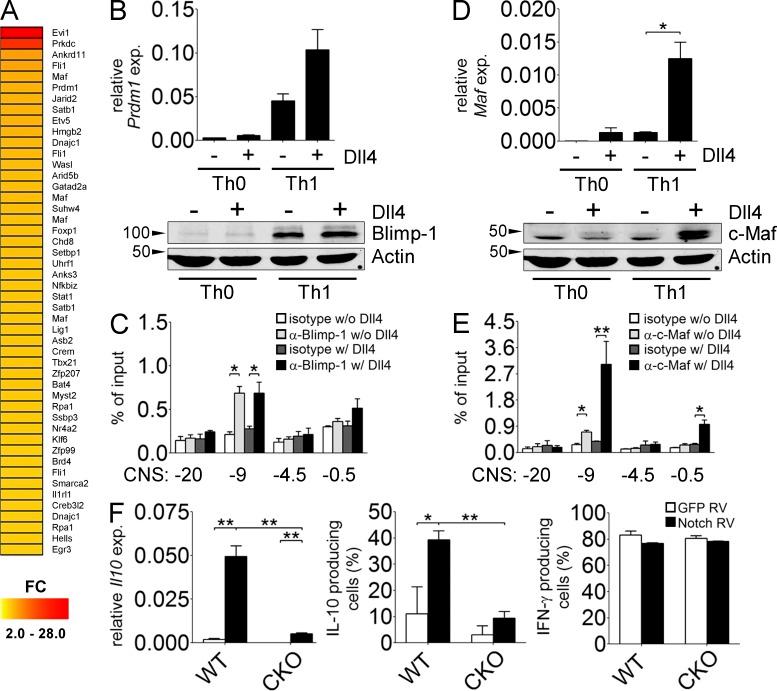 https://cdn.ncbi.nlm.nih.gov/pmc/blobs/aa92/4144744/7f5891b33b74/JEM_20131548_Fig6.jpg
