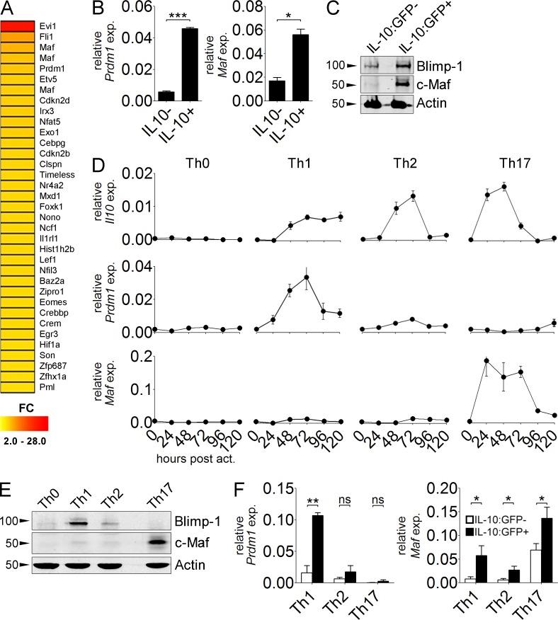 https://cdn.ncbi.nlm.nih.gov/pmc/blobs/aa92/4144744/833e7d6aade3/JEM_20131548_Fig1.jpg