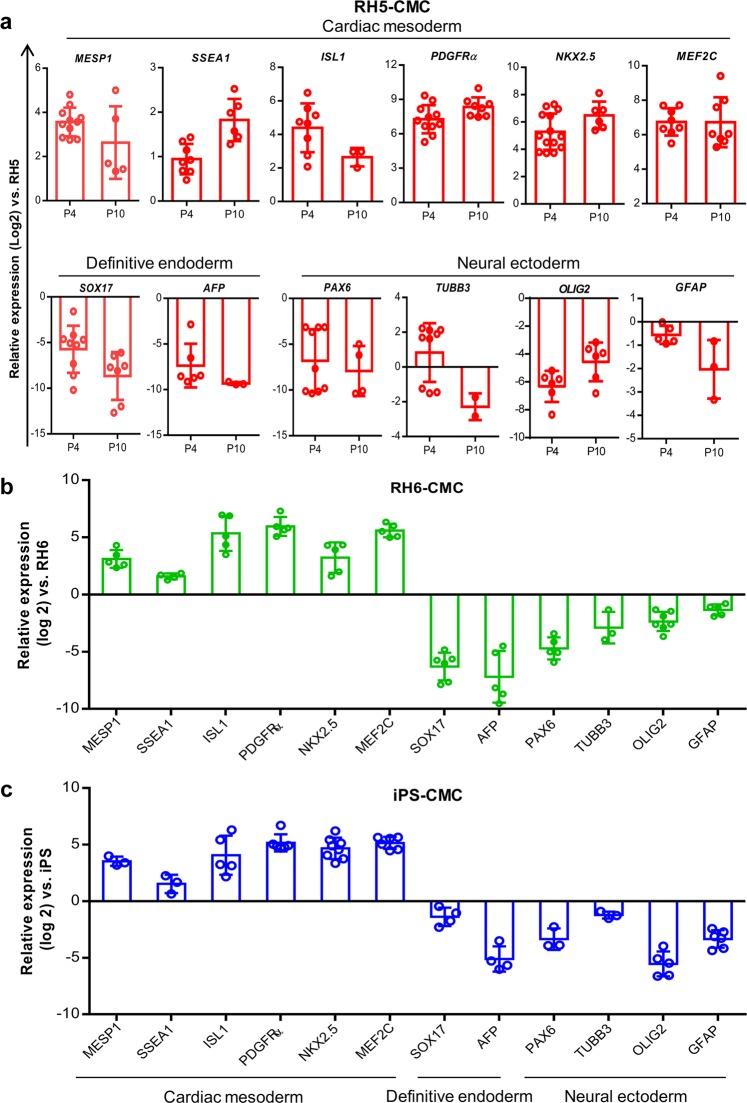 https://cdn.ncbi.nlm.nih.gov/pmc/blobs/aa93/6831601/59d3e0385a6f/41598_2019_52516_Fig4_HTML.jpg