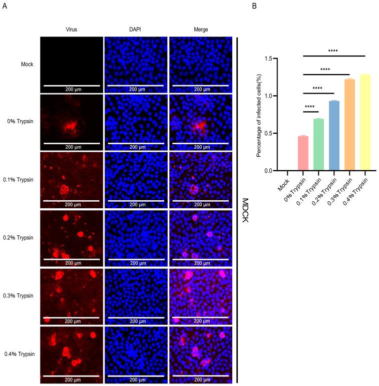 https://cdn.ncbi.nlm.nih.gov/pmc/blobs/aa96/10891669/395f05575153/pathogens-13-00174-g004.jpg