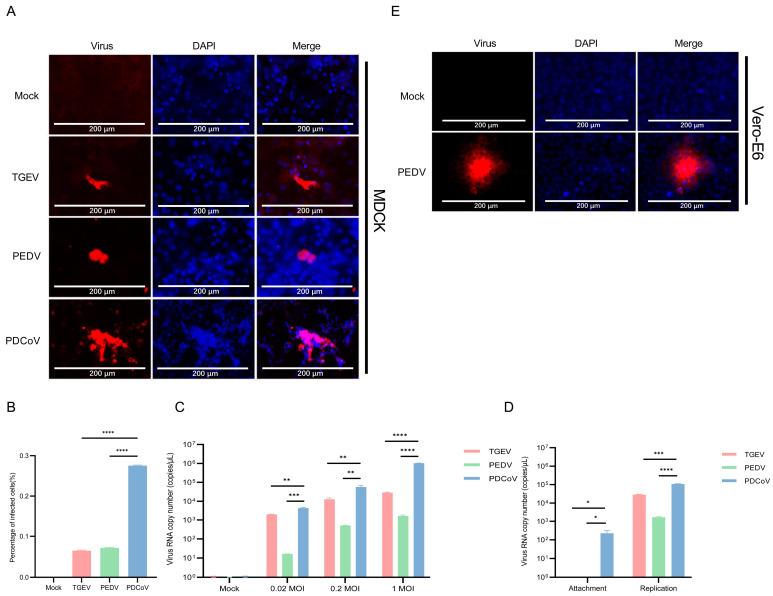 https://cdn.ncbi.nlm.nih.gov/pmc/blobs/aa96/10891669/3d8c7c60d692/pathogens-13-00174-g003.jpg