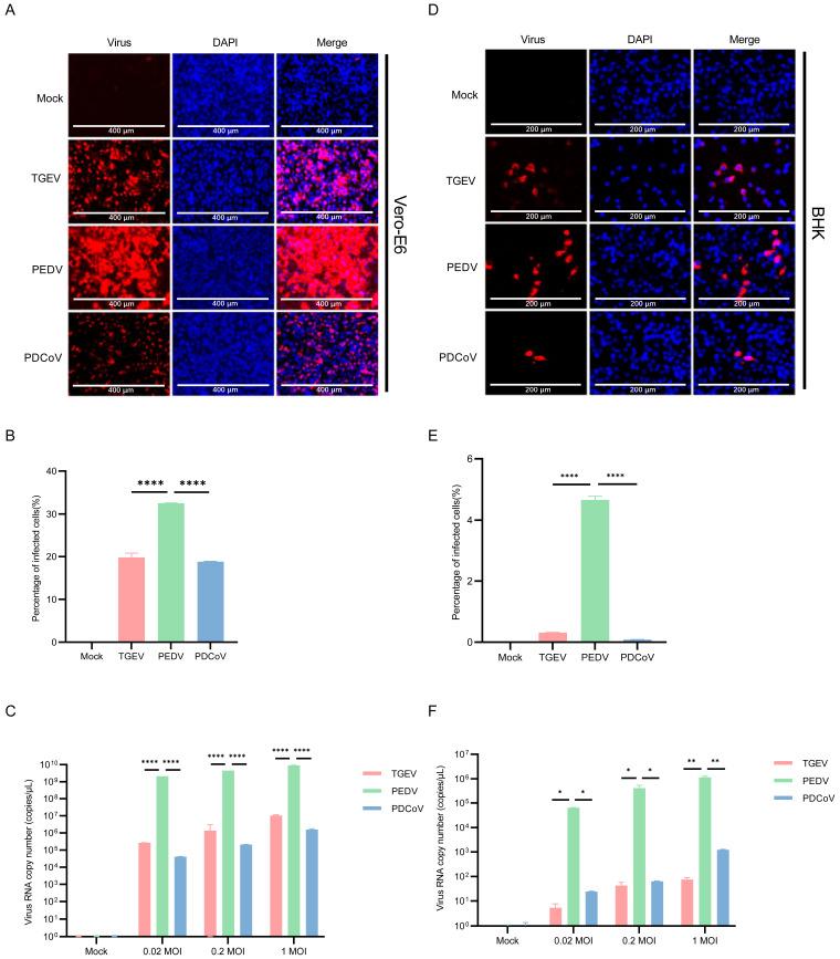 https://cdn.ncbi.nlm.nih.gov/pmc/blobs/aa96/10891669/56d03e976046/pathogens-13-00174-g006.jpg