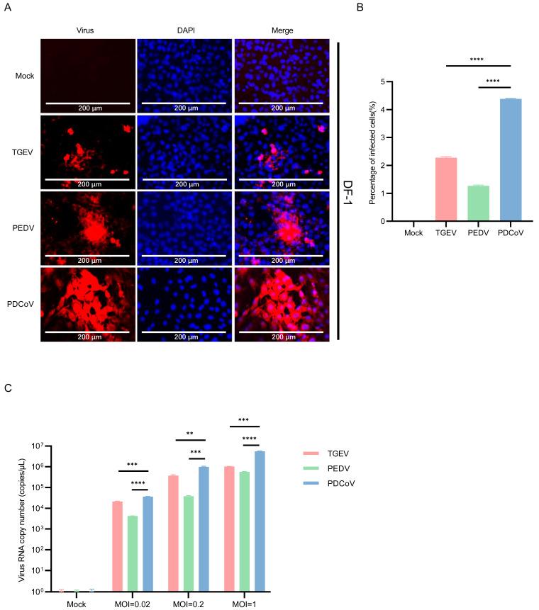 https://cdn.ncbi.nlm.nih.gov/pmc/blobs/aa96/10891669/ad6e41e8c234/pathogens-13-00174-g005.jpg
