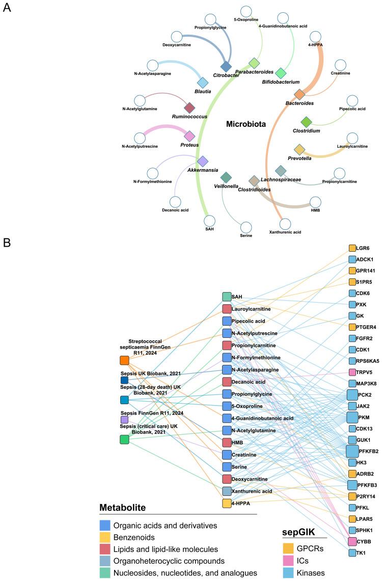 https://cdn.ncbi.nlm.nih.gov/pmc/blobs/aa98/12318984/7239c07cb85c/fimmu-16-1597676-g005.jpg