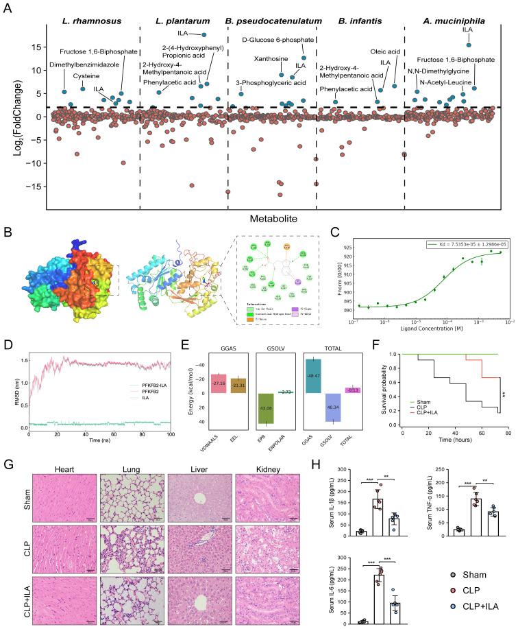 https://cdn.ncbi.nlm.nih.gov/pmc/blobs/aa98/12318984/7974177c5972/fimmu-16-1597676-g007.jpg