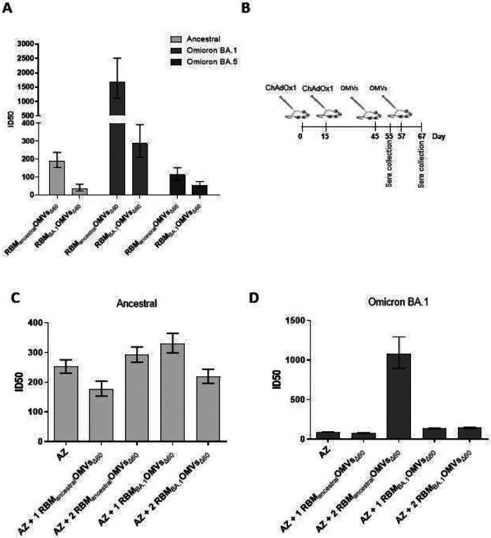 https://cdn.ncbi.nlm.nih.gov/pmc/blobs/aa99/10246226/303c5f45e91c/nihpp-rs2788726v1-f0006.jpg