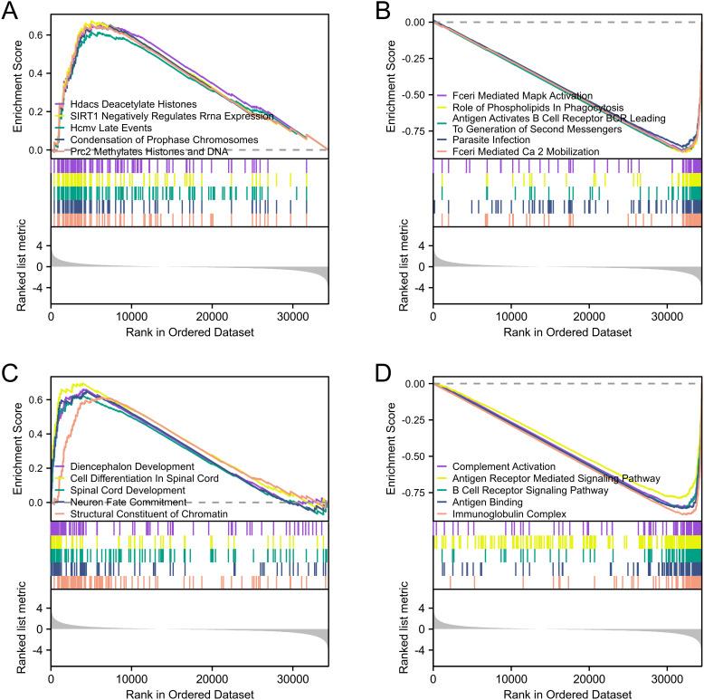 https://cdn.ncbi.nlm.nih.gov/pmc/blobs/aa99/12043488/5dbdd0aef0cf/fimmu-16-1542780-g008.jpg