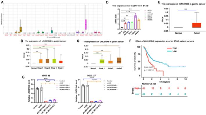 https://cdn.ncbi.nlm.nih.gov/pmc/blobs/aa99/12176720/6ba788526ccb/12672_2025_2994_Fig1_HTML.jpg