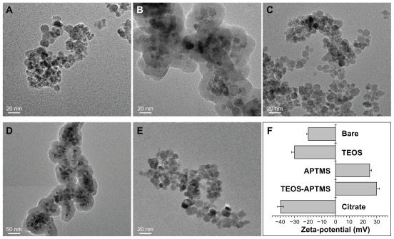 https://cdn.ncbi.nlm.nih.gov/pmc/blobs/aa99/3254266/54ee76a70348/ijn-6-3219f1.jpg
