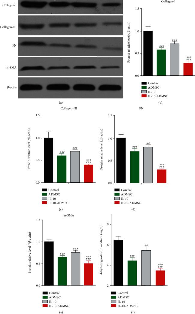 https://cdn.ncbi.nlm.nih.gov/pmc/blobs/aa99/9239815/c4c4464dc6e5/MI2022-6368311.004.jpg