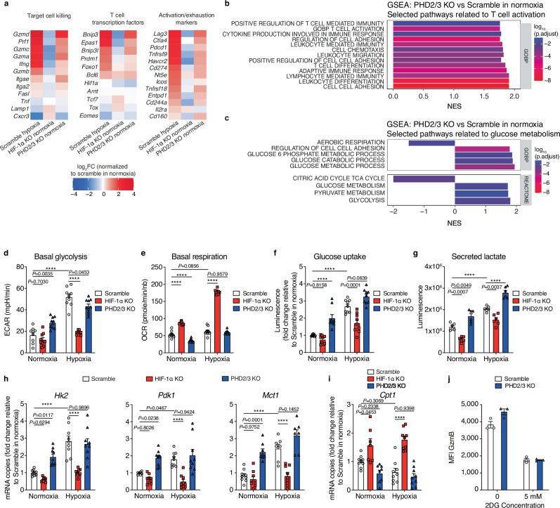 https://cdn.ncbi.nlm.nih.gov/pmc/blobs/aa9c/11379939/28d6c902c769/41467_2024_51782_Fig7_HTML.jpg