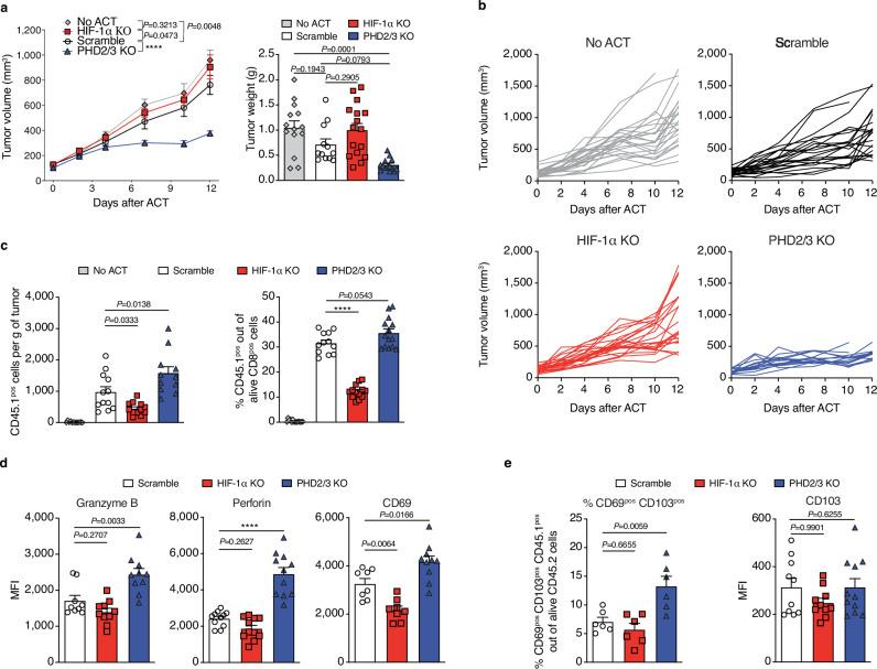 https://cdn.ncbi.nlm.nih.gov/pmc/blobs/aa9c/11379939/65356db82b79/41467_2024_51782_Fig5_HTML.jpg