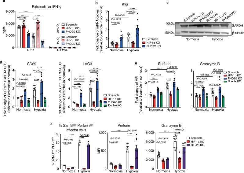 https://cdn.ncbi.nlm.nih.gov/pmc/blobs/aa9c/11379939/b1b8e2dd1559/41467_2024_51782_Fig3_HTML.jpg