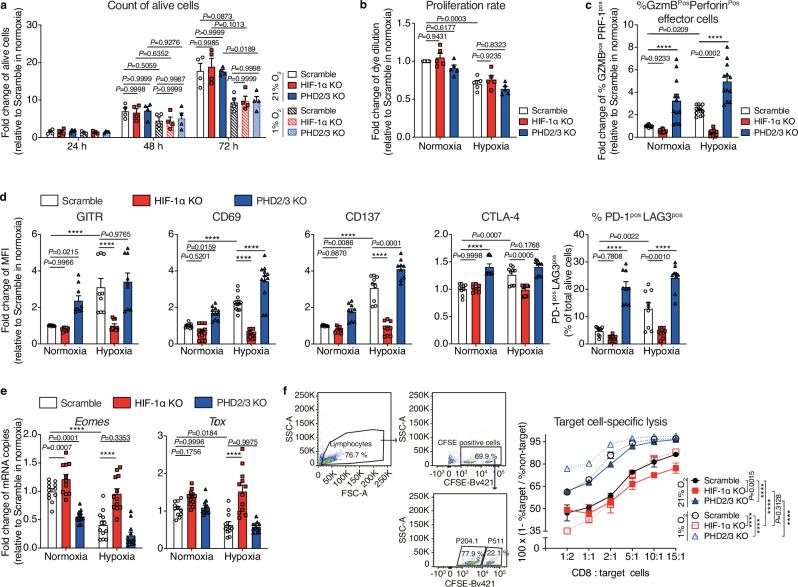 https://cdn.ncbi.nlm.nih.gov/pmc/blobs/aa9c/11379939/c0801d11c5c2/41467_2024_51782_Fig2_HTML.jpg