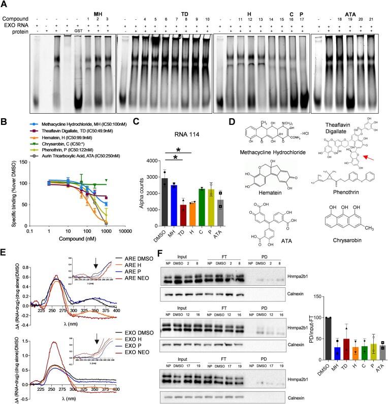 https://cdn.ncbi.nlm.nih.gov/pmc/blobs/aa9c/11915509/54851fa1bf8d/gkaf176fig3.jpg