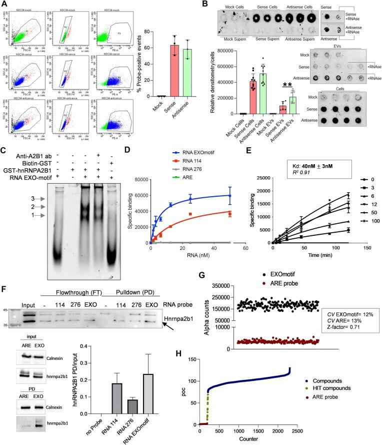 https://cdn.ncbi.nlm.nih.gov/pmc/blobs/aa9c/11915509/f873d7aaf5e8/gkaf176fig2.jpg