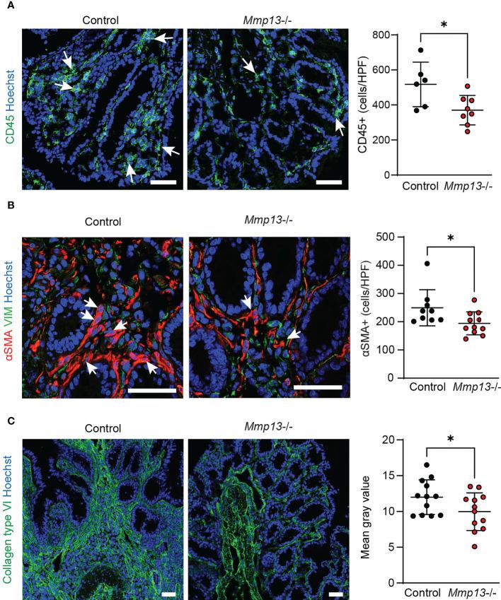 https://cdn.ncbi.nlm.nih.gov/pmc/blobs/aa9d/10189878/b540fbc2d12c/fimmu-14-1163198-g005.jpg