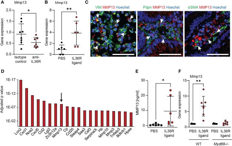 https://cdn.ncbi.nlm.nih.gov/pmc/blobs/aa9d/10189878/b85bb0bb0af1/fimmu-14-1163198-g003.jpg