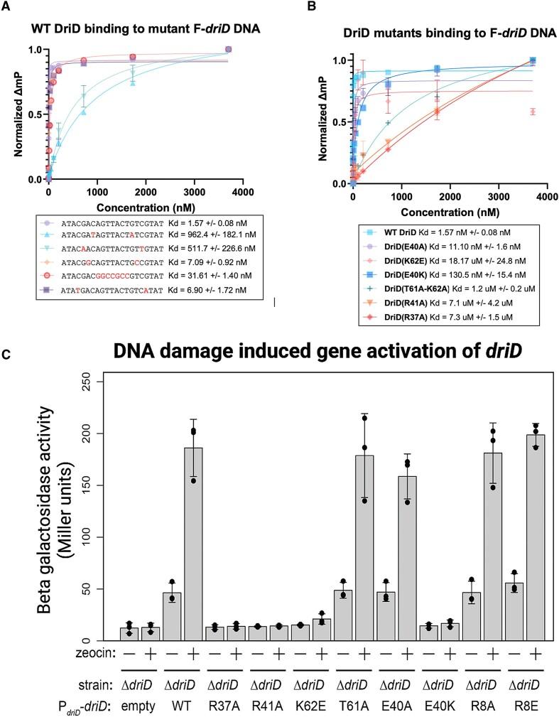 https://cdn.ncbi.nlm.nih.gov/pmc/blobs/aaa0/10853764/cc7a58a7a992/gkad1198fig6.jpg