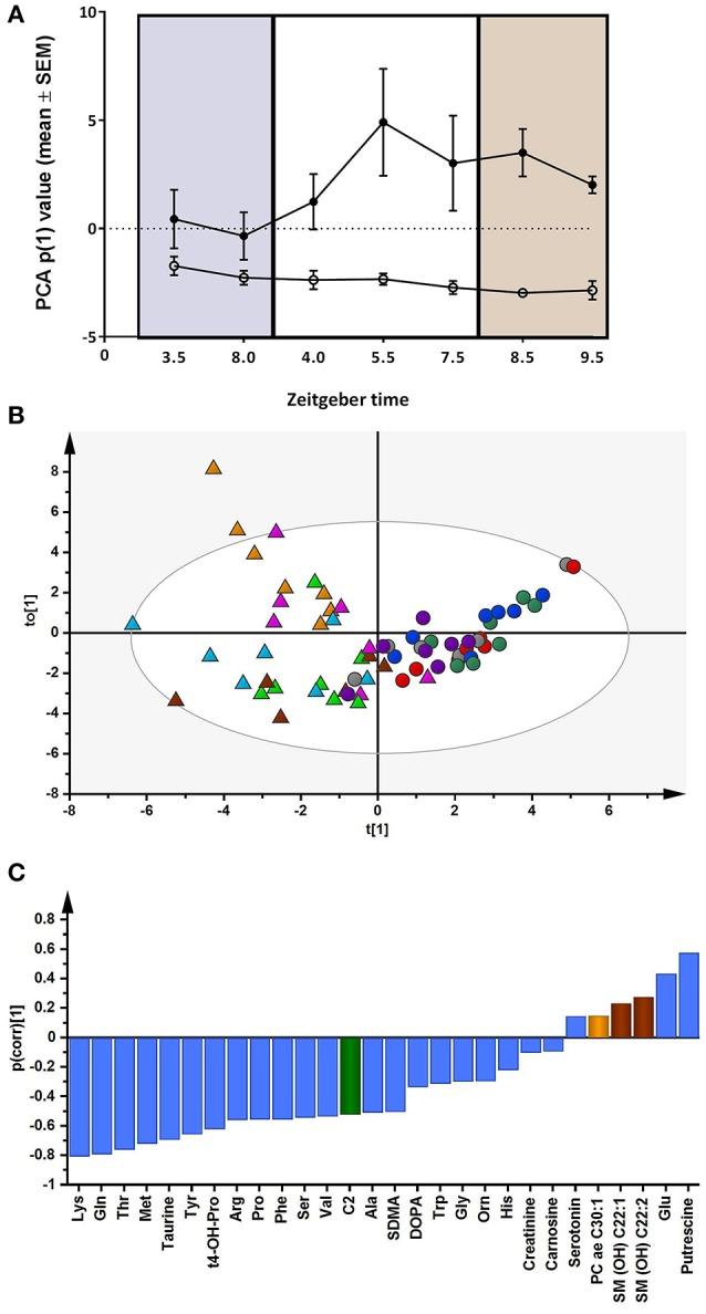 https://cdn.ncbi.nlm.nih.gov/pmc/blobs/aaa0/5583967/975f7e769d10/fphys-08-00636-g0007.jpg