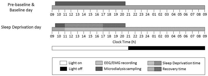 https://cdn.ncbi.nlm.nih.gov/pmc/blobs/aaa0/5583967/fcfcb2c57b57/fphys-08-00636-g0001.jpg