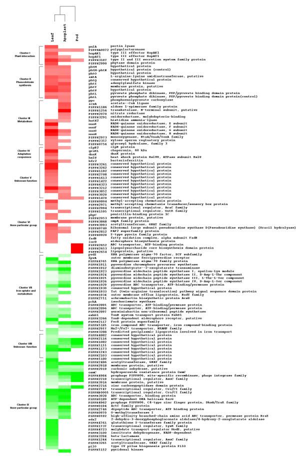 https://cdn.ncbi.nlm.nih.gov/pmc/blobs/aaa1/2803797/f96c83882d2f/1471-2180-9-257-3.jpg