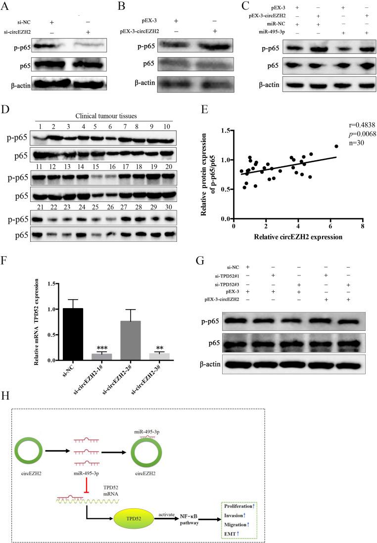 https://cdn.ncbi.nlm.nih.gov/pmc/blobs/aaa2/11446202/40367ab6b378/IJGM-17-4419-g0007.jpg