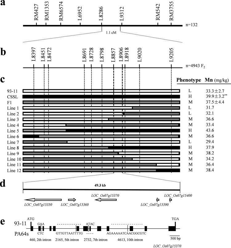https://cdn.ncbi.nlm.nih.gov/pmc/blobs/aaa3/5735179/a501be1843ef/41598_2017_18090_Fig5_HTML.jpg