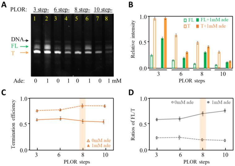 https://cdn.ncbi.nlm.nih.gov/pmc/blobs/aaa5/10003555/3db336934f3b/ijms-24-04934-g002.jpg