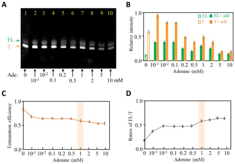 https://cdn.ncbi.nlm.nih.gov/pmc/blobs/aaa5/10003555/817fb8a5bb75/ijms-24-04934-g003.jpg