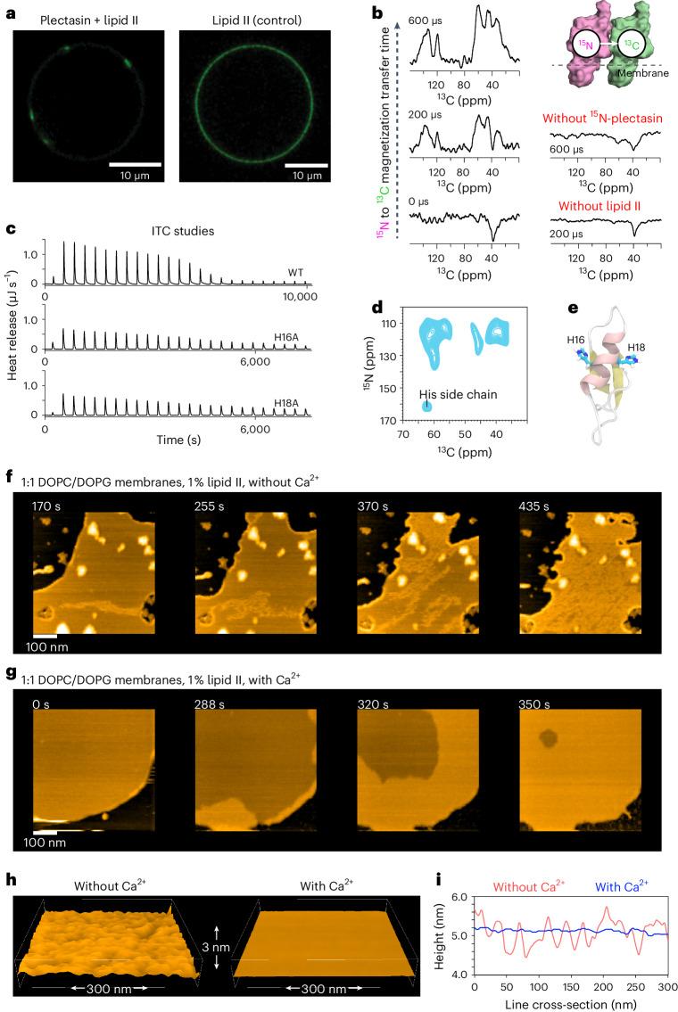 https://cdn.ncbi.nlm.nih.gov/pmc/blobs/aaa5/11222147/019e8a959207/41564_2024_1696_Fig4_HTML.jpg