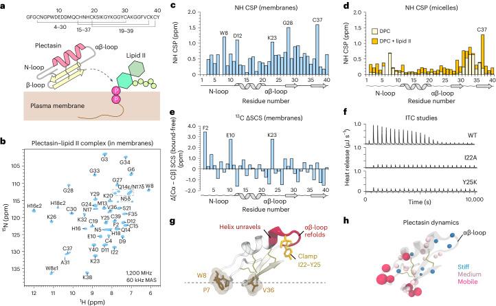 https://cdn.ncbi.nlm.nih.gov/pmc/blobs/aaa5/11222147/e20dffd25f32/41564_2024_1696_Fig1_HTML.jpg