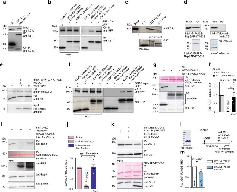 https://cdn.ncbi.nlm.nih.gov/pmc/blobs/aaa7/6884526/bc3803538685/41467_2019_13224_Fig4_HTML.jpg