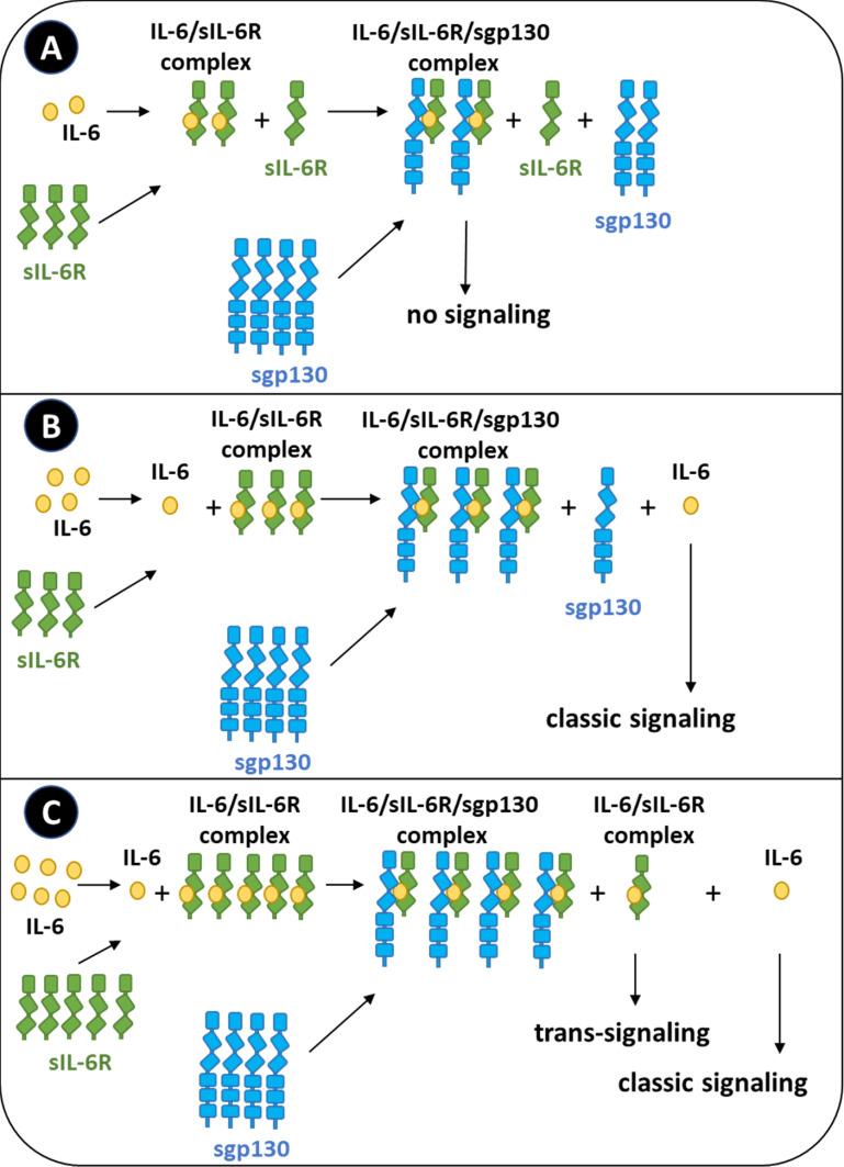 https://cdn.ncbi.nlm.nih.gov/pmc/blobs/aaa8/12239904/766fc13def5b/ITT-14-681-g0003.jpg