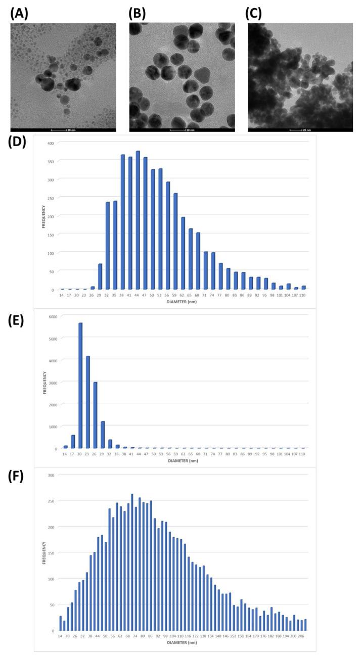 https://cdn.ncbi.nlm.nih.gov/pmc/blobs/aaaa/11817374/d860bf88b549/ijms-26-01088-g005.jpg